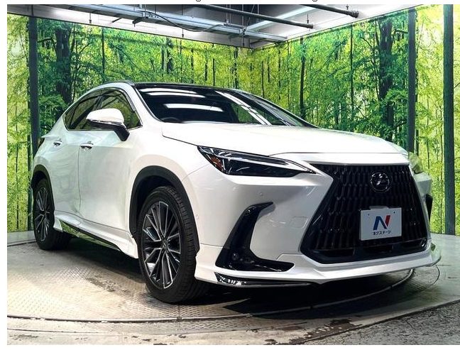 LEXUS NX 2023 - Stock ID AA30802