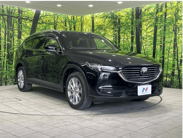 MAZDA CX 8 2019 - Stock ID AA30753